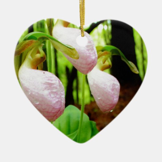 Pink Lady Slipper Wild Orchid Keramik Ornament (Vorne)