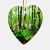 Pink Lady Slipper Wild Orchid Keramikornament (Links)