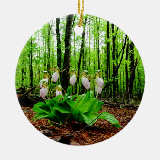 Pink Lady Slipper Wild Orchid Keramikornament (Vorne)