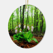 Pink Lady Slipper Wild Orchid Keramikornament (Links)