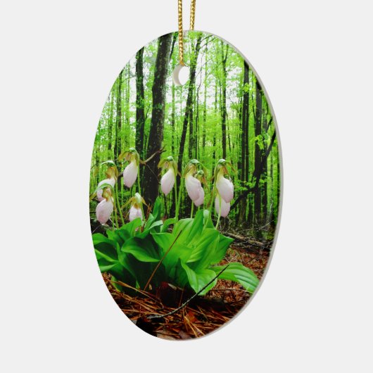 Pink Lady Slipper Wild Orchid Keramikornament (Links)