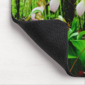 Pink Lady Slipper Wild Orchid Mousepad (Ecke)