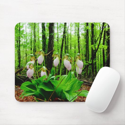 Pink Lady Slipper Wild Orchid Mousepad (Mit Mouse)