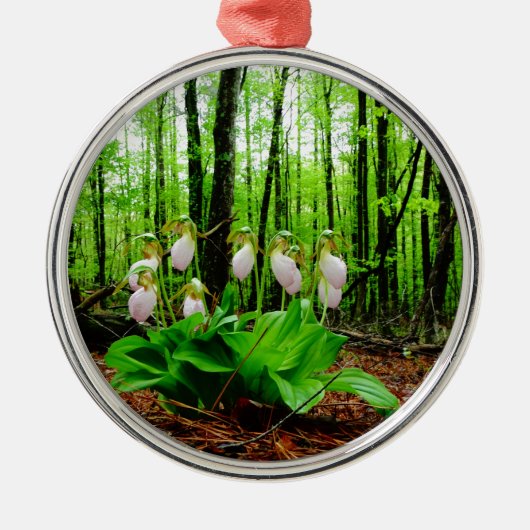 Pink Lady Slipper Wild Orchid Ornament Aus Metall (Vorne)