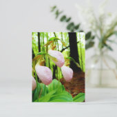 Pink Lady Slipper Wild Orchid Postkarte (Stehend Vorderseite)