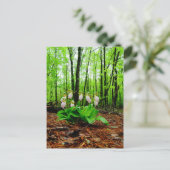 Pink Lady Slipper Wild Orchid Postkarte (Stehend Vorderseite)