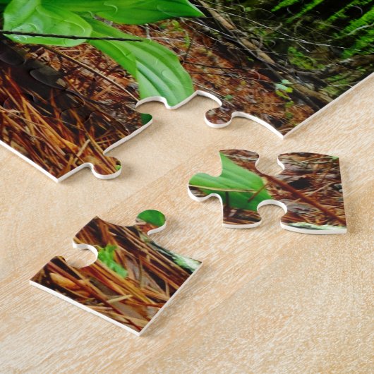 Pink Lady Slipper Wild Orchid Puzzle (Seite)