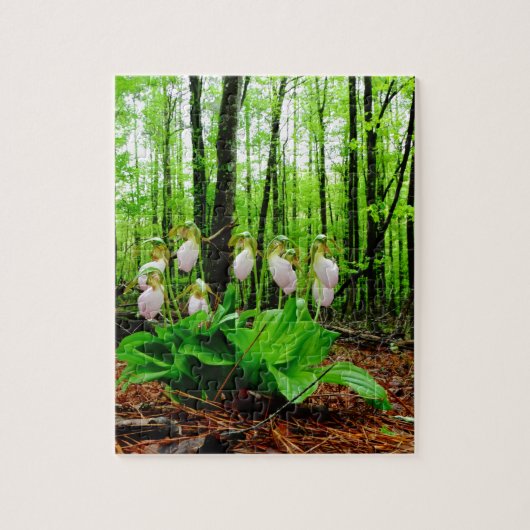Pink Lady Slipper Wild Orchid Puzzle (Vertikal)