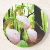 Pink Lady Slipper Wild Orchid Sandstein Untersetzer (Vorne)