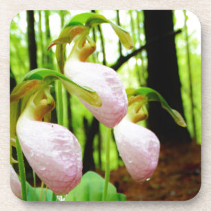 Pink Lady Slipper Wild Orchid Untersetzer