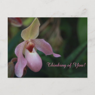 Pink Lady's Slipper Orchid-Blume Postkarte