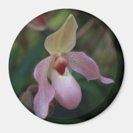 Pink Lady's Slipper Orchid Magnet