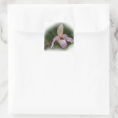 Pink Lady's Slipper Orchid Quadratischer Aufkleber (Tasche)
