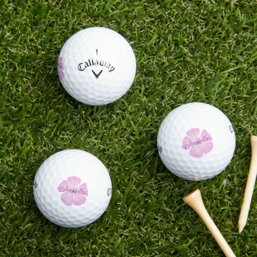 Pink Lavatera Blume Golfball (Insitu Gras)