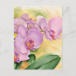 Pink Lavender Phalaenopsis Orchid Blume Postkarte