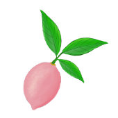 Pink Lemon Lemonade  Dosenglas