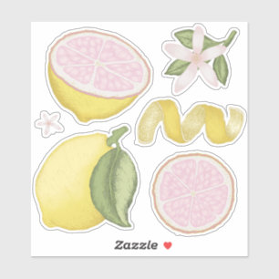 Pink Lemonade Lemon Floral Citrus Aufkleber Blatt