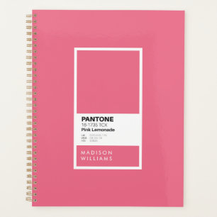 Pink Lemonade Minimalistische Farbpalette Swatch  Planer