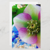 Pink Lenten Rose Briefpapier (Vorne/Hinten)