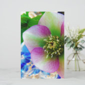 Pink Lenten Rose Briefpapier (Stehend Vorderseite)