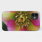 Pink Lenten Rose, Case-Mate iPhone Hülle (Rückseite (Horizontal))