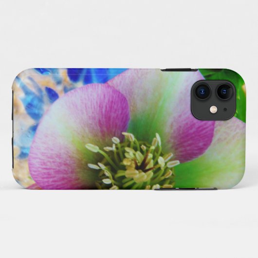 Pink Lenten Rose Case-Mate iPhone Hülle (Rückseite (Horizontal))