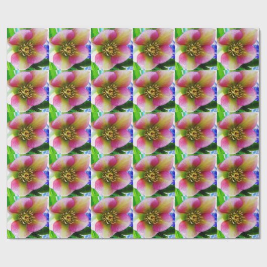 Pink Lenten Rose, Geschenkpapier (Flach)