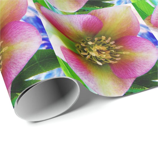 Pink Lenten Rose, Geschenkpapier (Rolleneckpunkt)