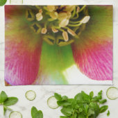 Pink Lenten Rose, Geschirrtuch (Gefaltet)