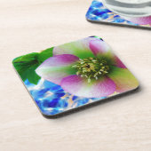 Pink Lenten Rose Getränkeuntersetzer (Linke Seite)