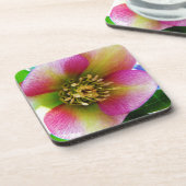 Pink Lenten Rose, Getränkeuntersetzer (Linke Seite)