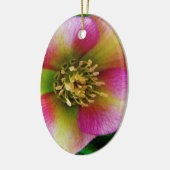 Pink Lenten Rose, Keramik Ornament (Links)