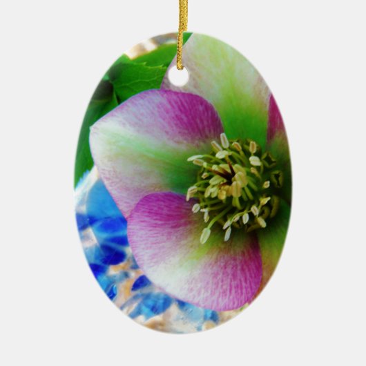 Pink Lenten Rose Keramik Ornament (Vorne)