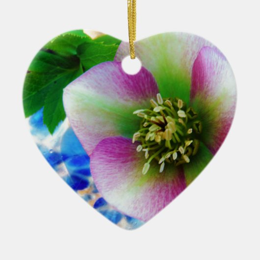 Pink Lenten Rose Keramikornament (Vorne)