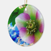Pink Lenten Rose Keramikornament (Links)