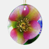 Pink Lenten Rose, Keramikornament (Links)