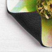 Pink Lenten Rose, Mousepad (Ecke)