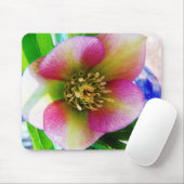 Pink Lenten Rose, Mousepad (Mit Mouse)