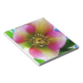 Pink Lenten Rose, Notizblock (angewinkelt)