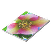 Pink Lenten Rose, Notizblock (Rotiert)
