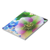 Pink Lenten Rose Notizblock (Rotiert)
