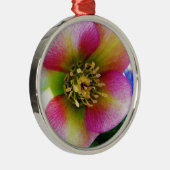 Pink Lenten Rose, Ornament Aus Metall (Rechts)