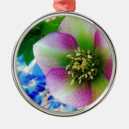 Pink Lenten Rose Ornament Aus Metall (Vorne)