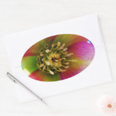 Pink Lenten Rose, Ovaler Aufkleber (Umschlag)