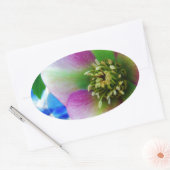 Pink Lenten Rose Ovaler Aufkleber (Umschlag)