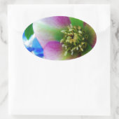 Pink Lenten Rose Ovaler Aufkleber (Tasche)