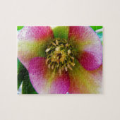 Pink Lenten Rose, Puzzle (Horizontal)