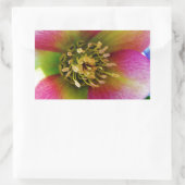 Pink Lenten Rose, Rechteckiger Aufkleber (Tasche)