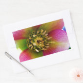 Pink Lenten Rose, Rechteckiger Aufkleber (Umschlag)