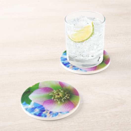 Pink Lenten Rose Sandstein Untersetzer (Seite)